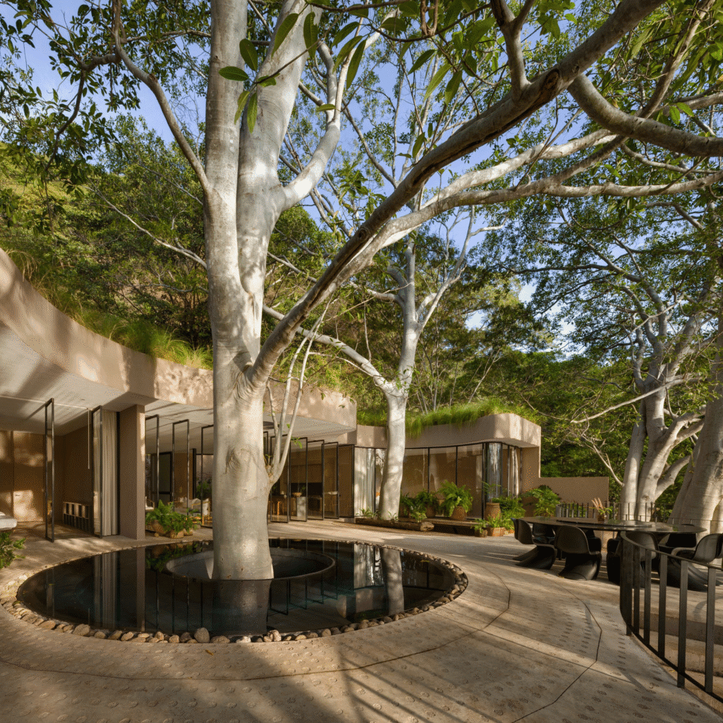 Terrasse extérieur unique avec arbre du logement Hobbit's Home, pour un séjour atypique mémorable