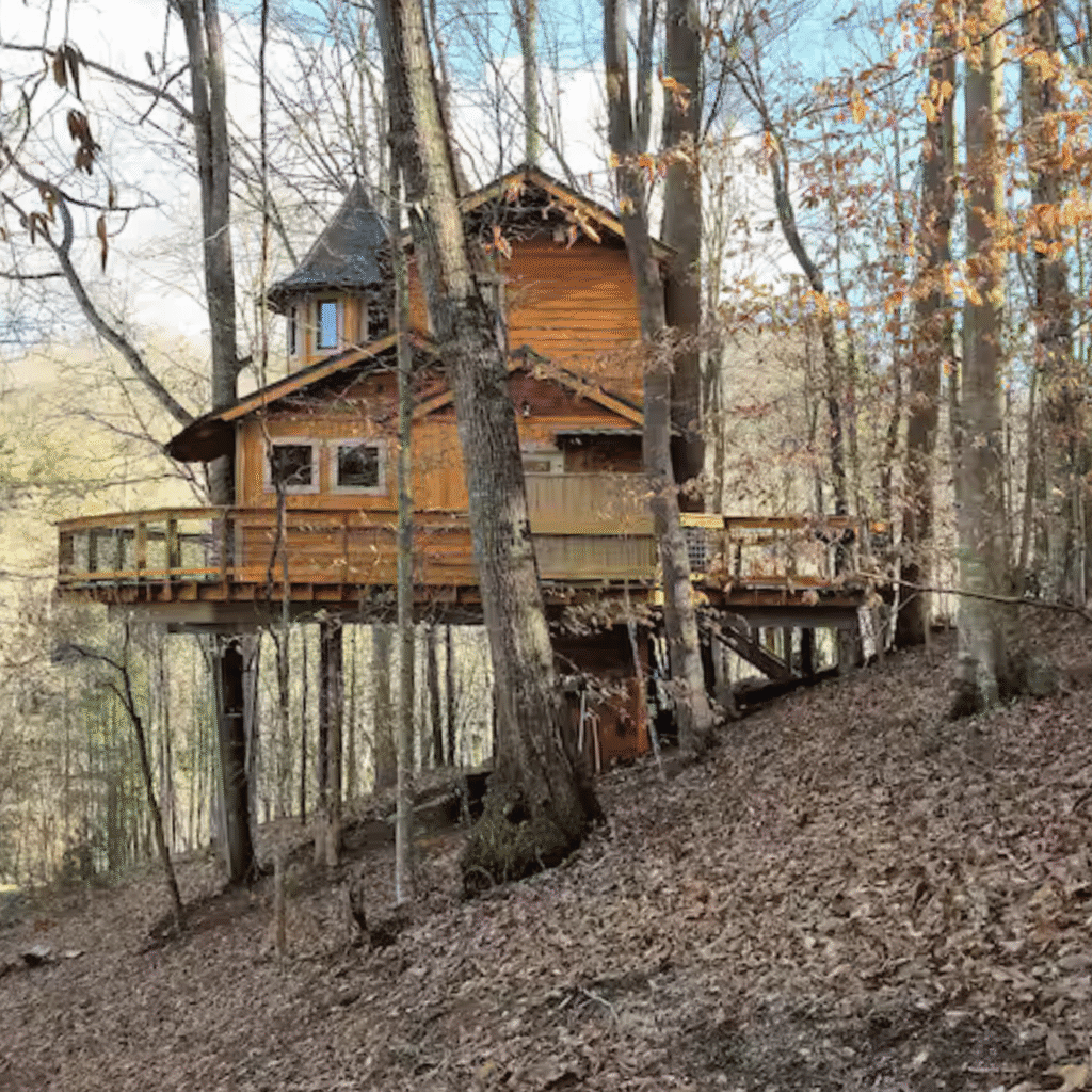 Extérieur cabane verte réservation perchée arbres forêt
