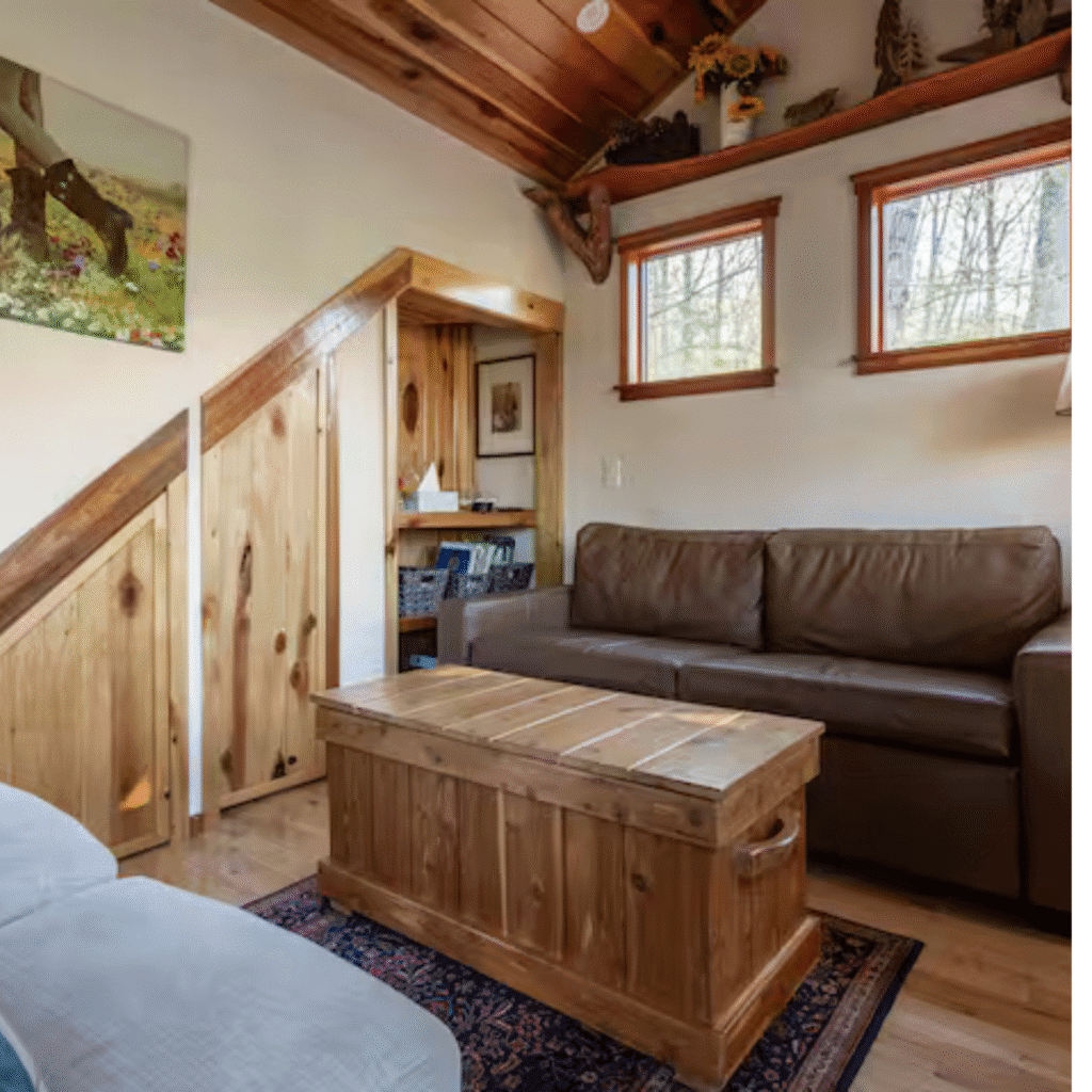 Salon cabane verte réservation canapé cuir coin détente bois