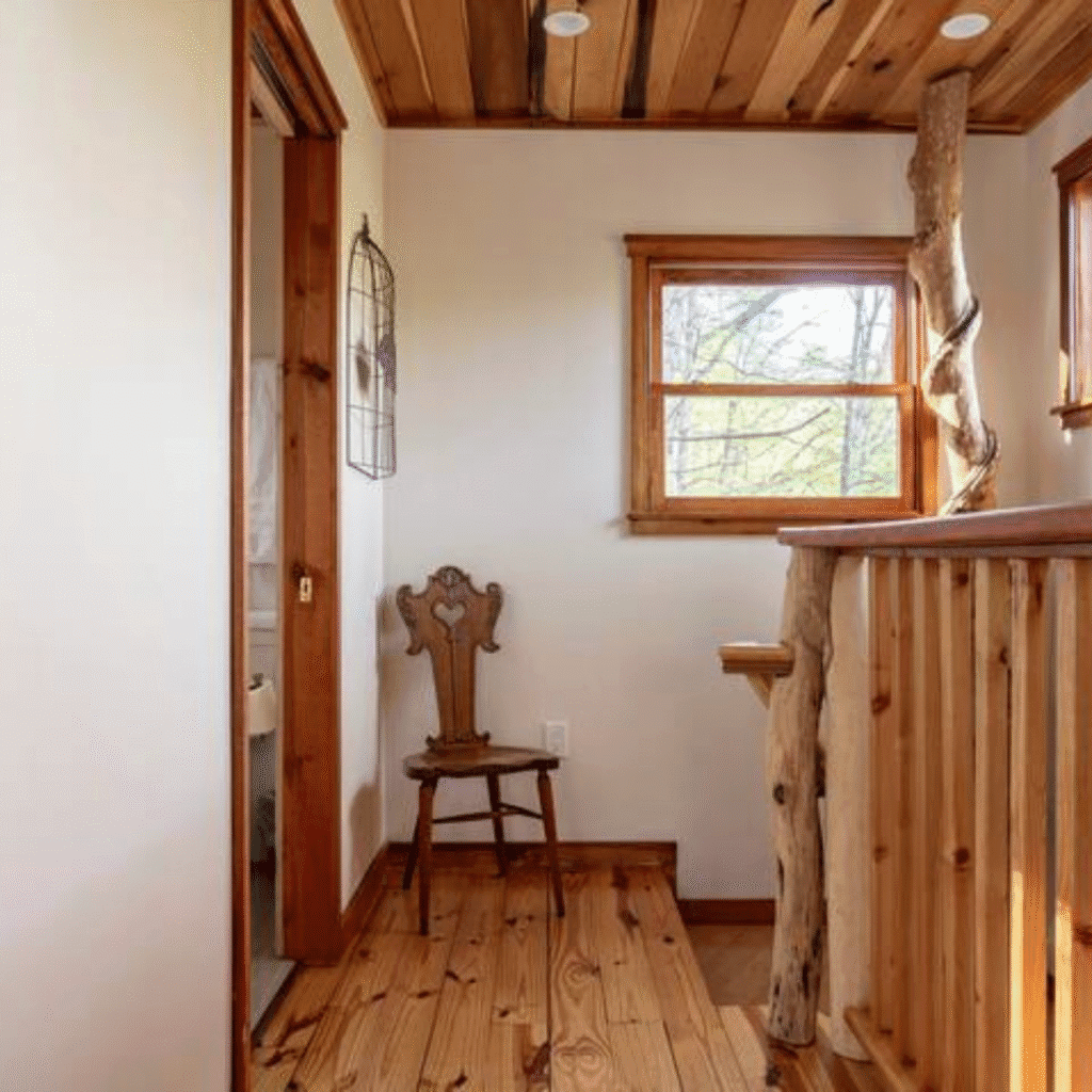 Couloir intérieur cabane verte réservation bois naturel fenêtre forêt