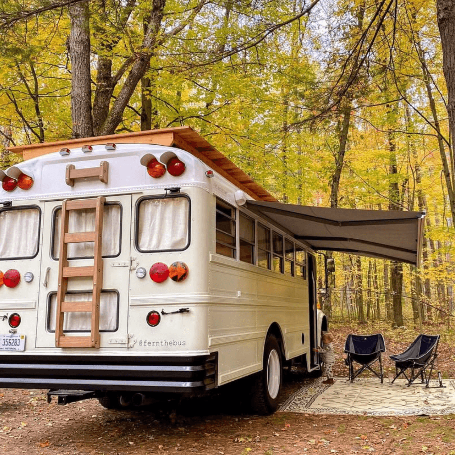Lovebus vintage crème avec auvent déployé dans forêt automnale dorée, deux chaises pliantes sur tapis, hébergement insolite